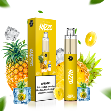 pineappleice_c514d2ee-61c2-4ad9-948b-898d5a77a546_360x.png